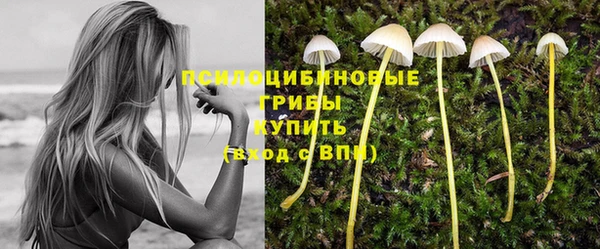 дурь Алексин
