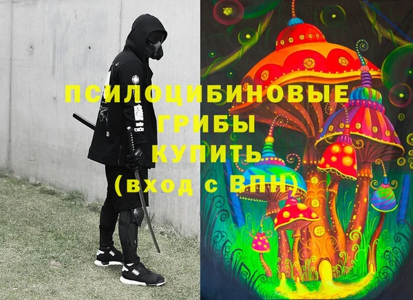 дурь Алексин