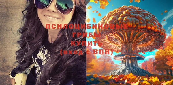 дурь Алексин